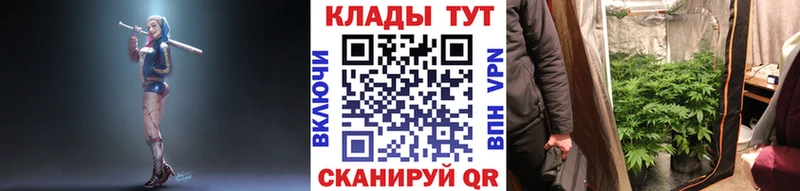 Наркошоп купить Alpha-PVP  Конопля  Меф  Псилоцибиновые грибы  МЕТАДОН  Гашиш  Аркадак