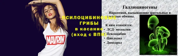 мяу мяу мука Ельня
