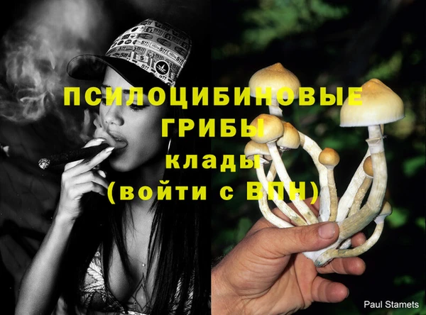 мяу мяу мука Ельня