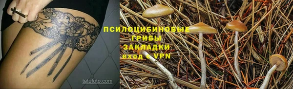 мескалин Елабуга