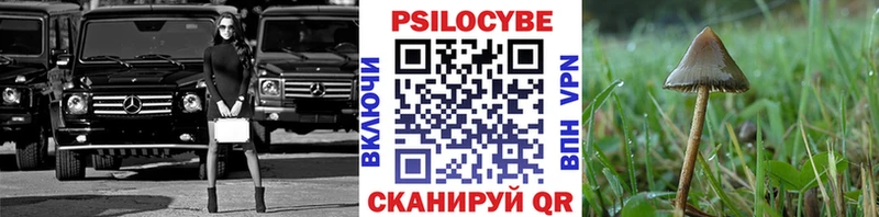 Псилоцибиновые грибы Psilocybine cubensis  Купить закладки  Аркадак 